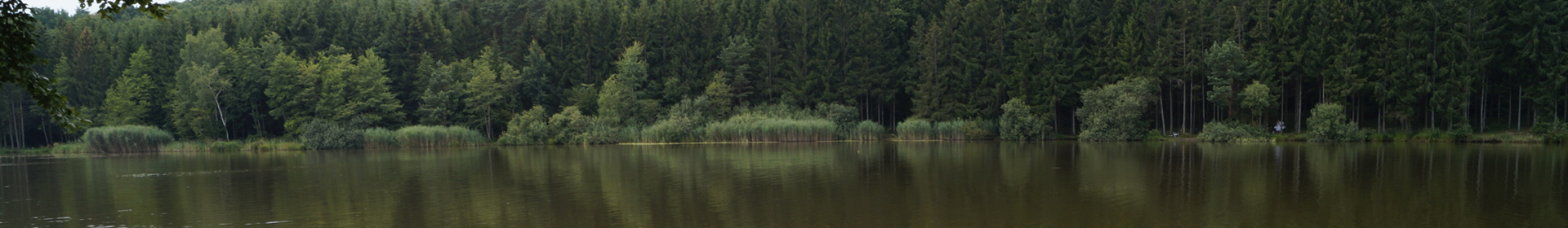 База отдыха Глубокская ПМК-48 Государственное предприятие